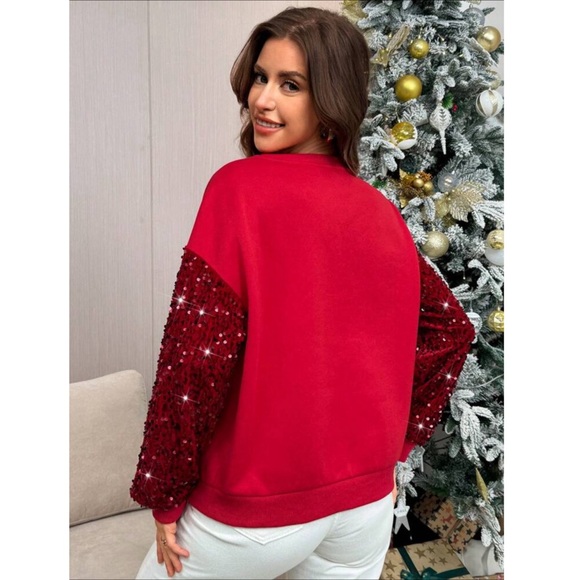 Merry Christmas Embroidered Sequin Sleeve Round Neck Sweater - Picture 7 of 8